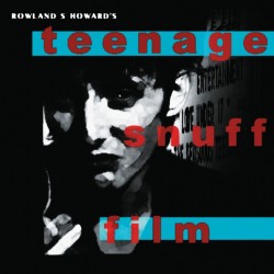 ROWLAND S.HOWARD Teenage Snuff Film 2LP
